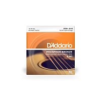 D'Addario EJ41